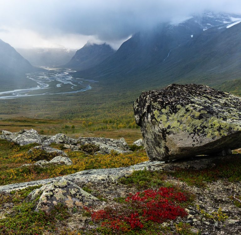 The view across the coulourful ground cover down to a braided river valley, Sarek National Park Sweden