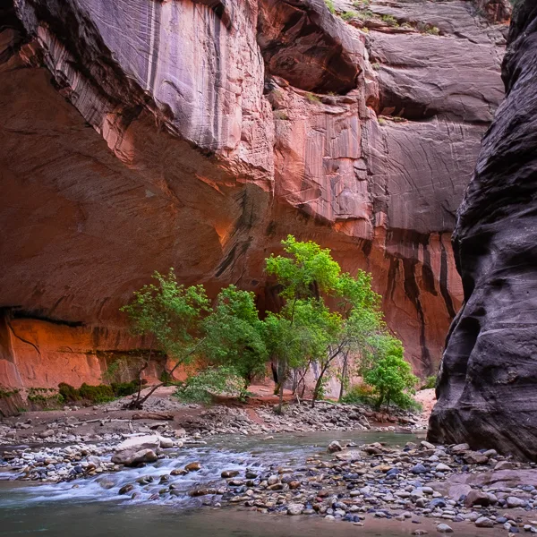 Zion National Park