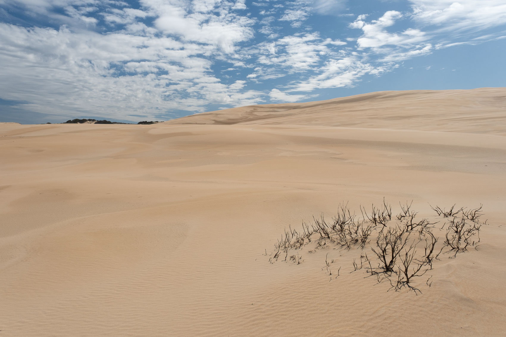takayna dunes