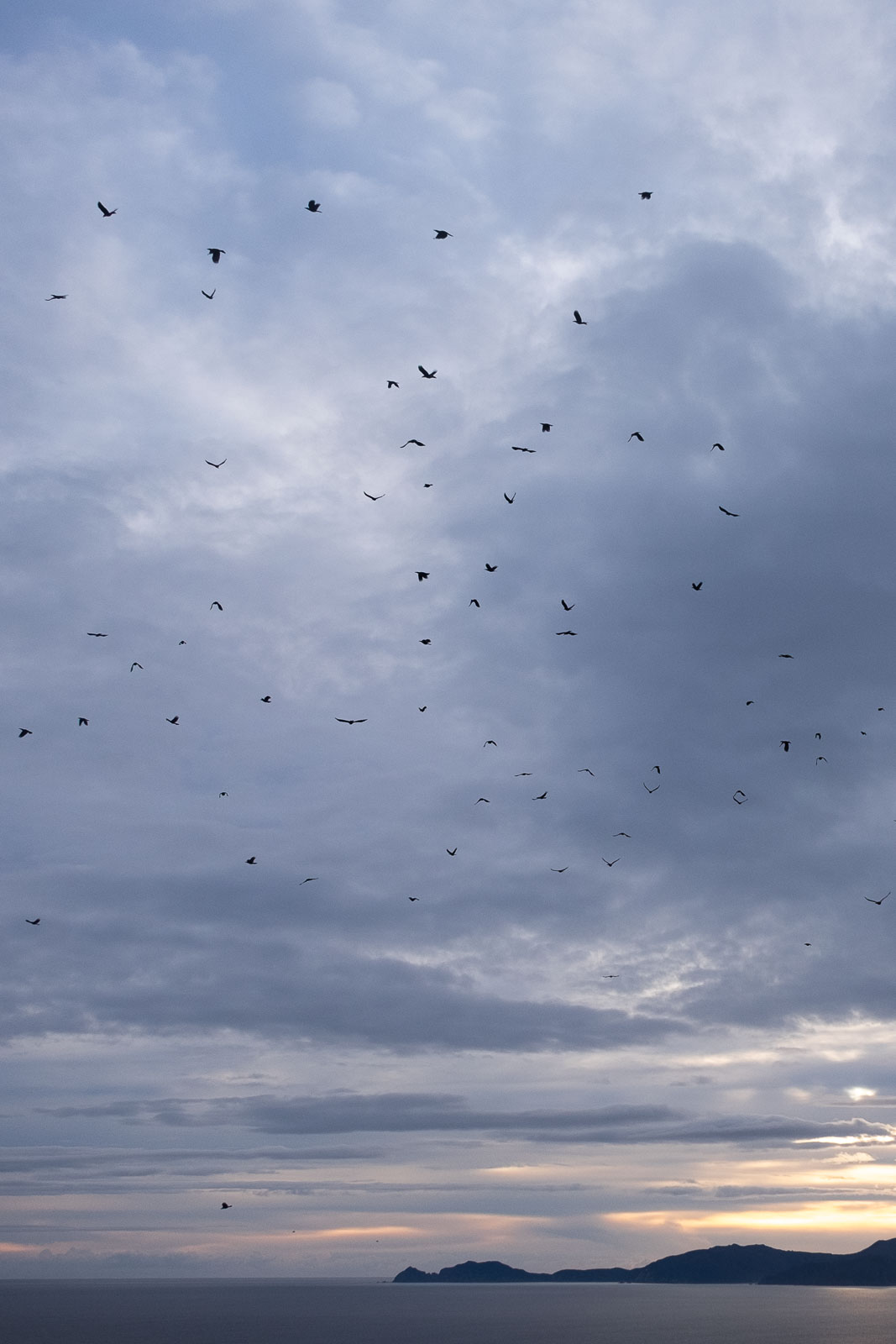 Murder in the Skies