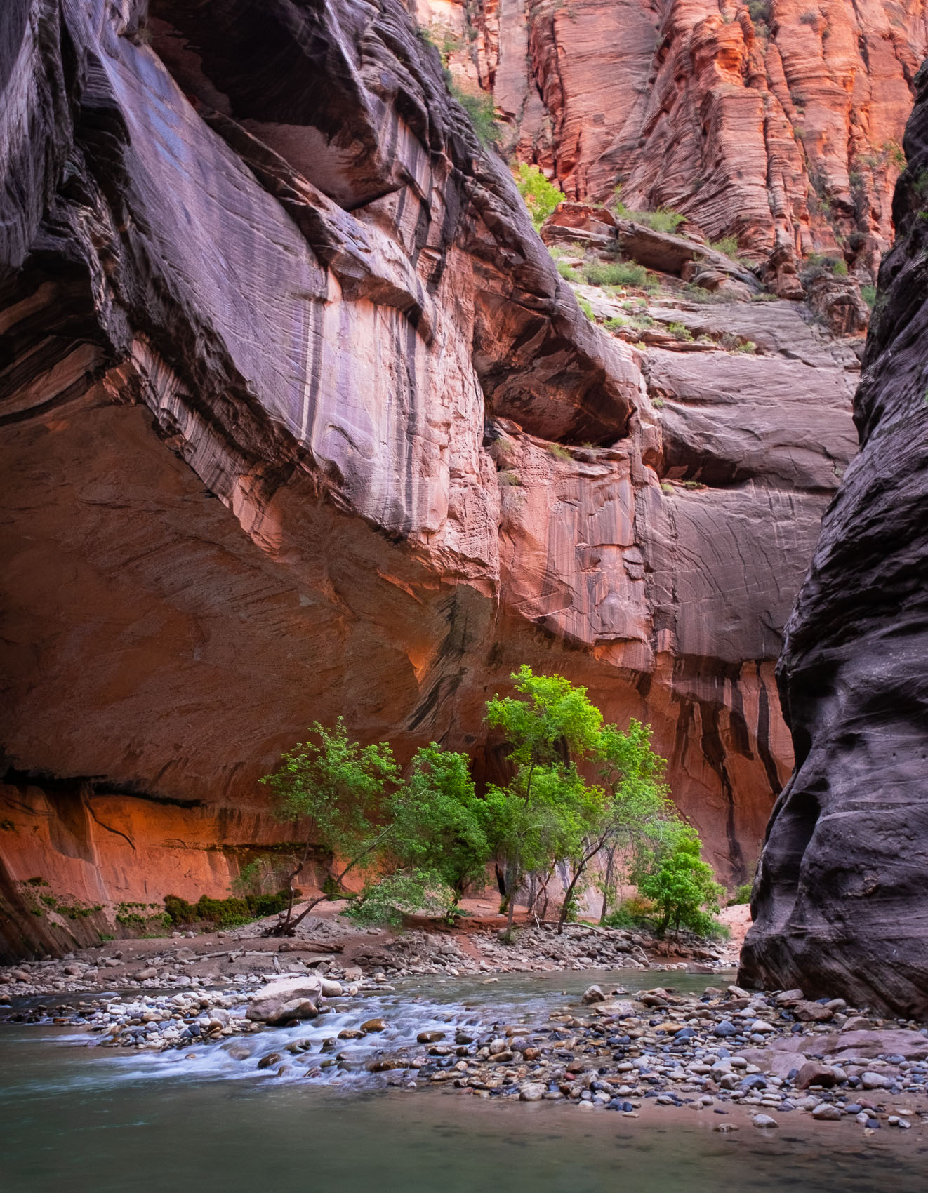 Canyon scenes