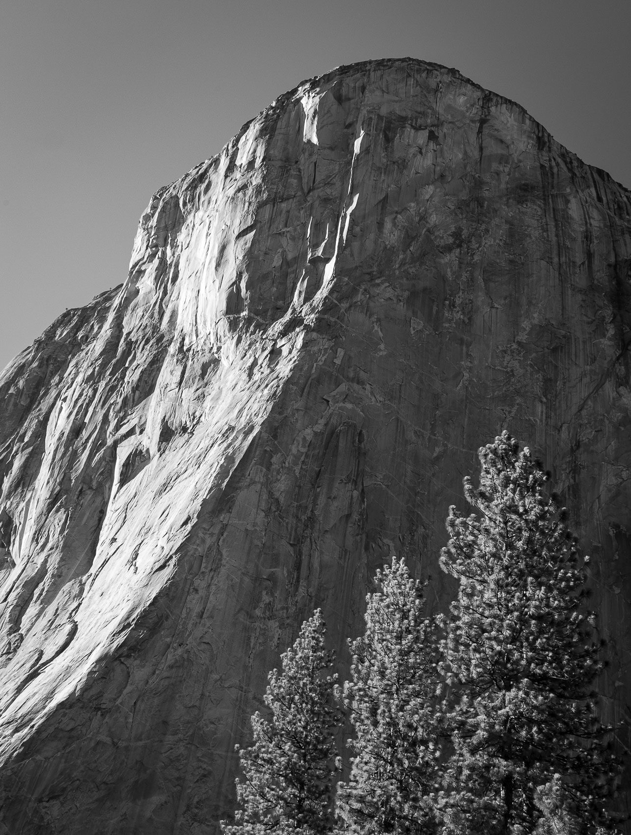 Afternoon Wall