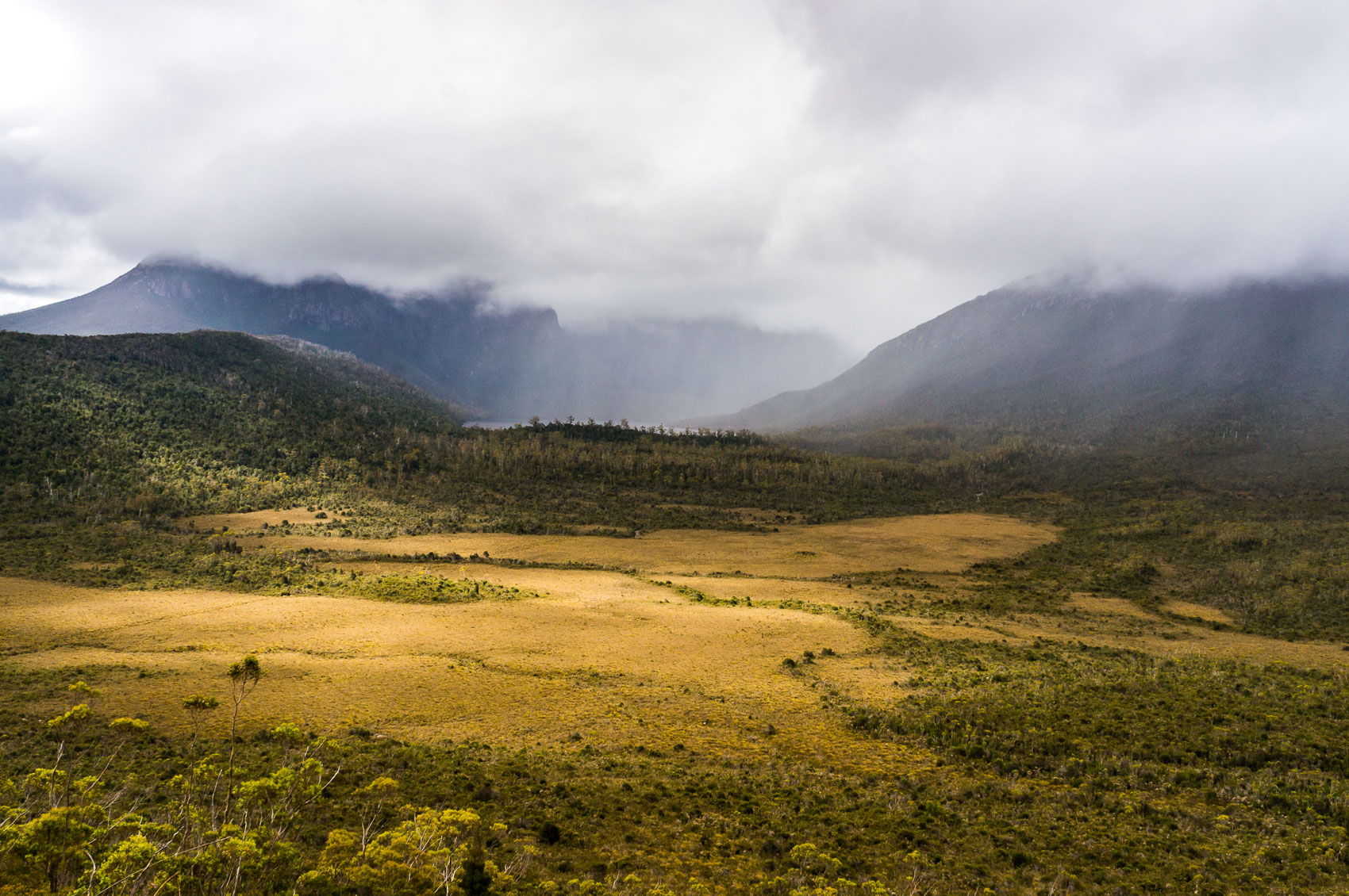 Buttongrass Plains