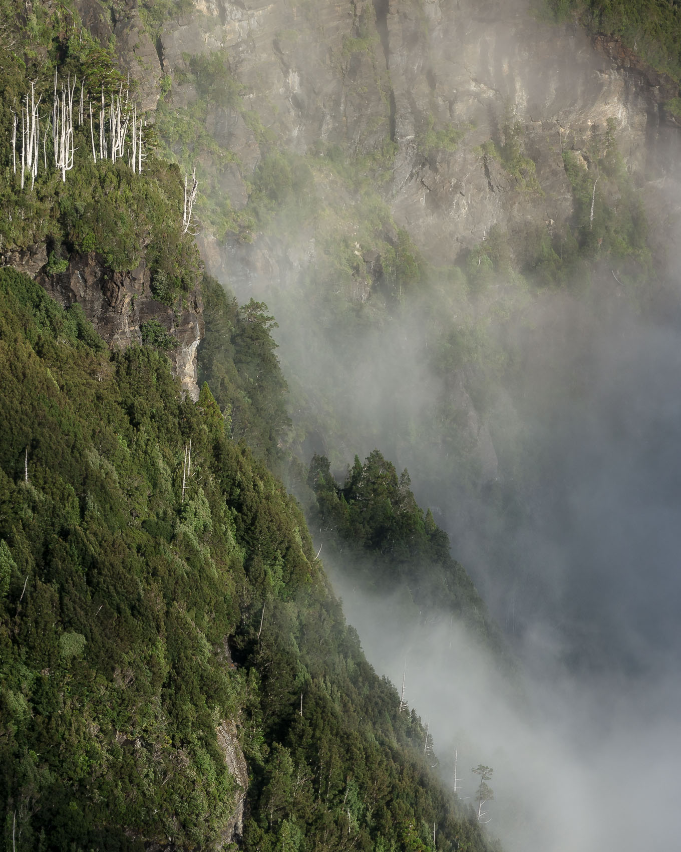 Precipitous Country
