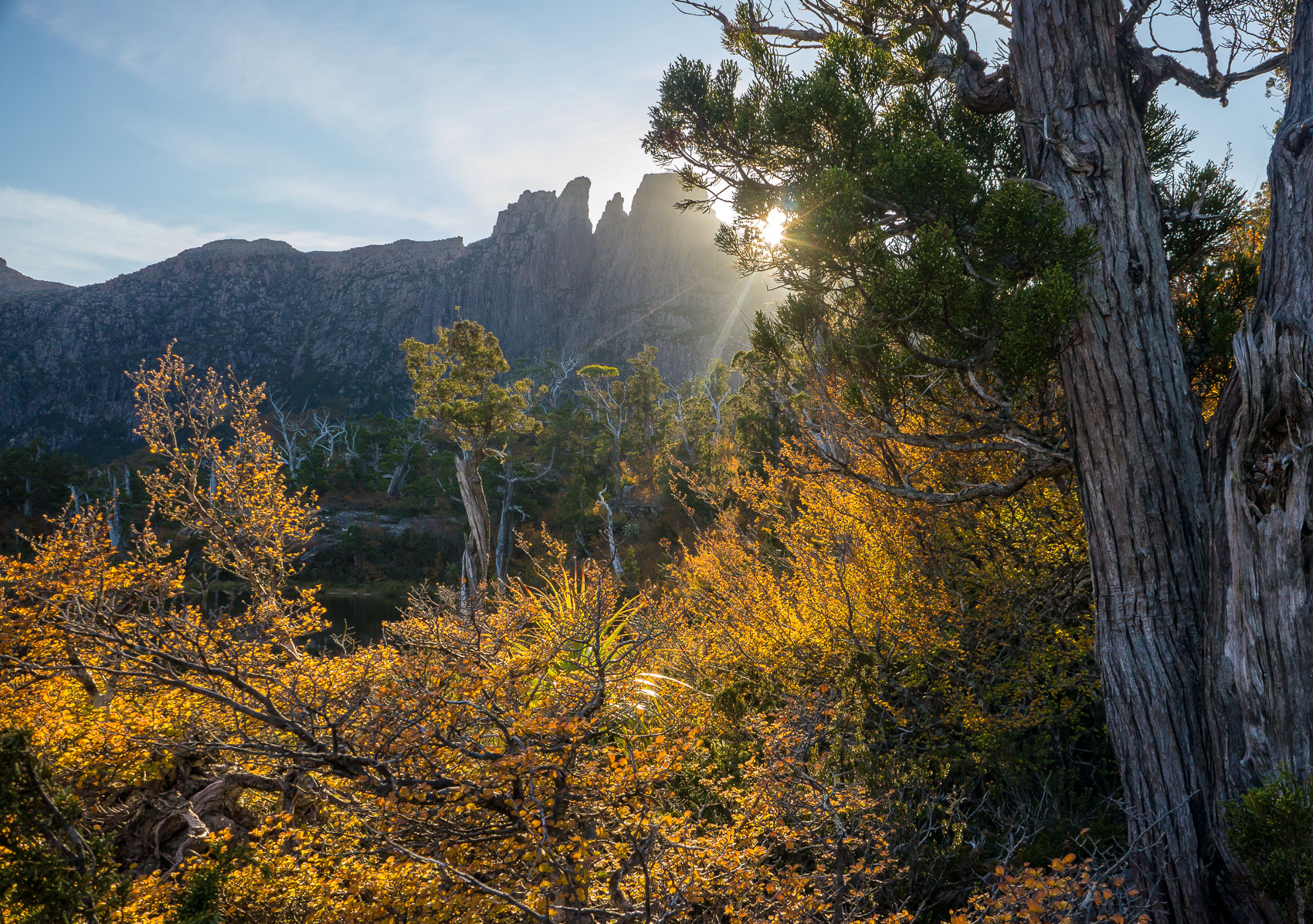 Autumn Sun