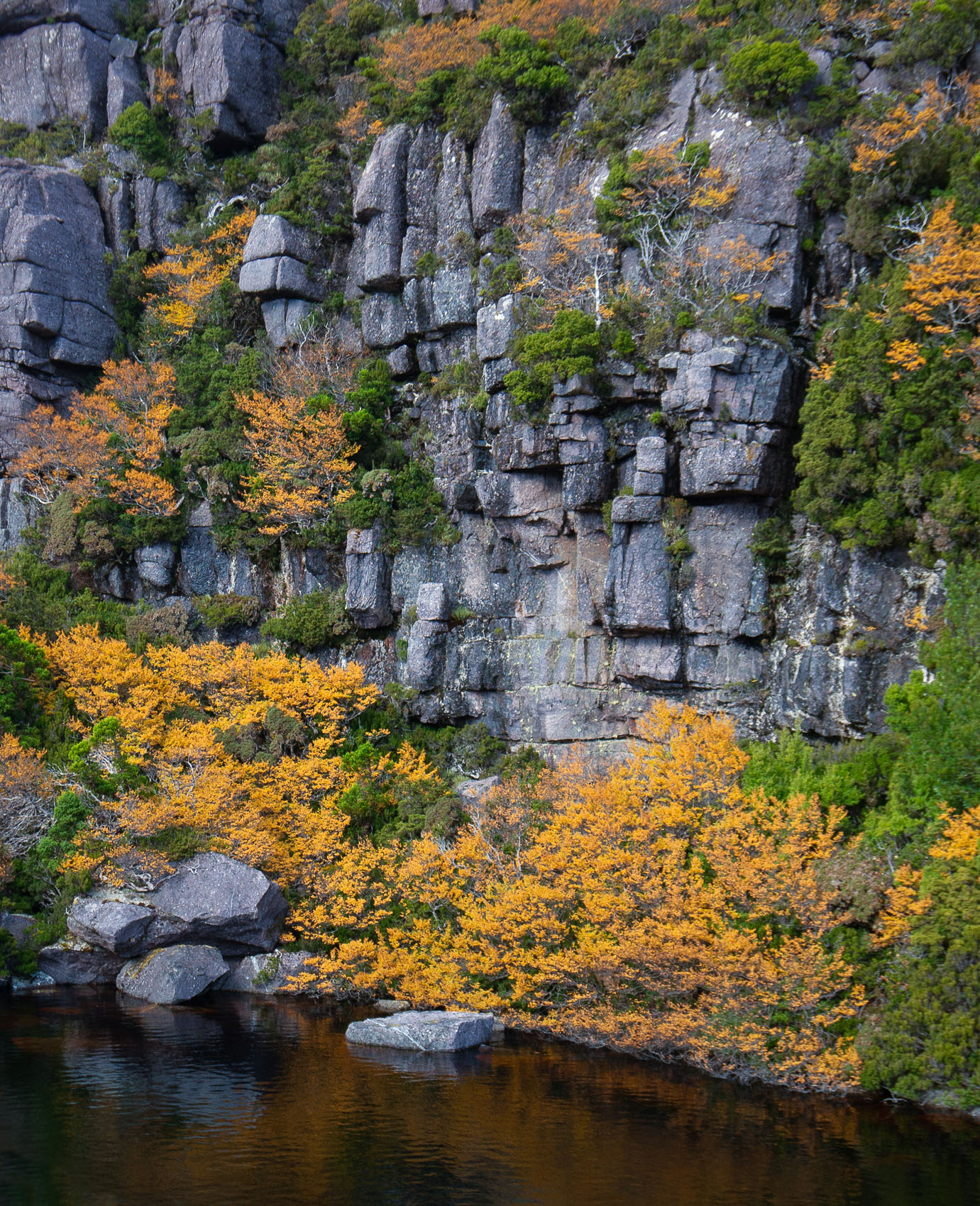 Autumn Rockface