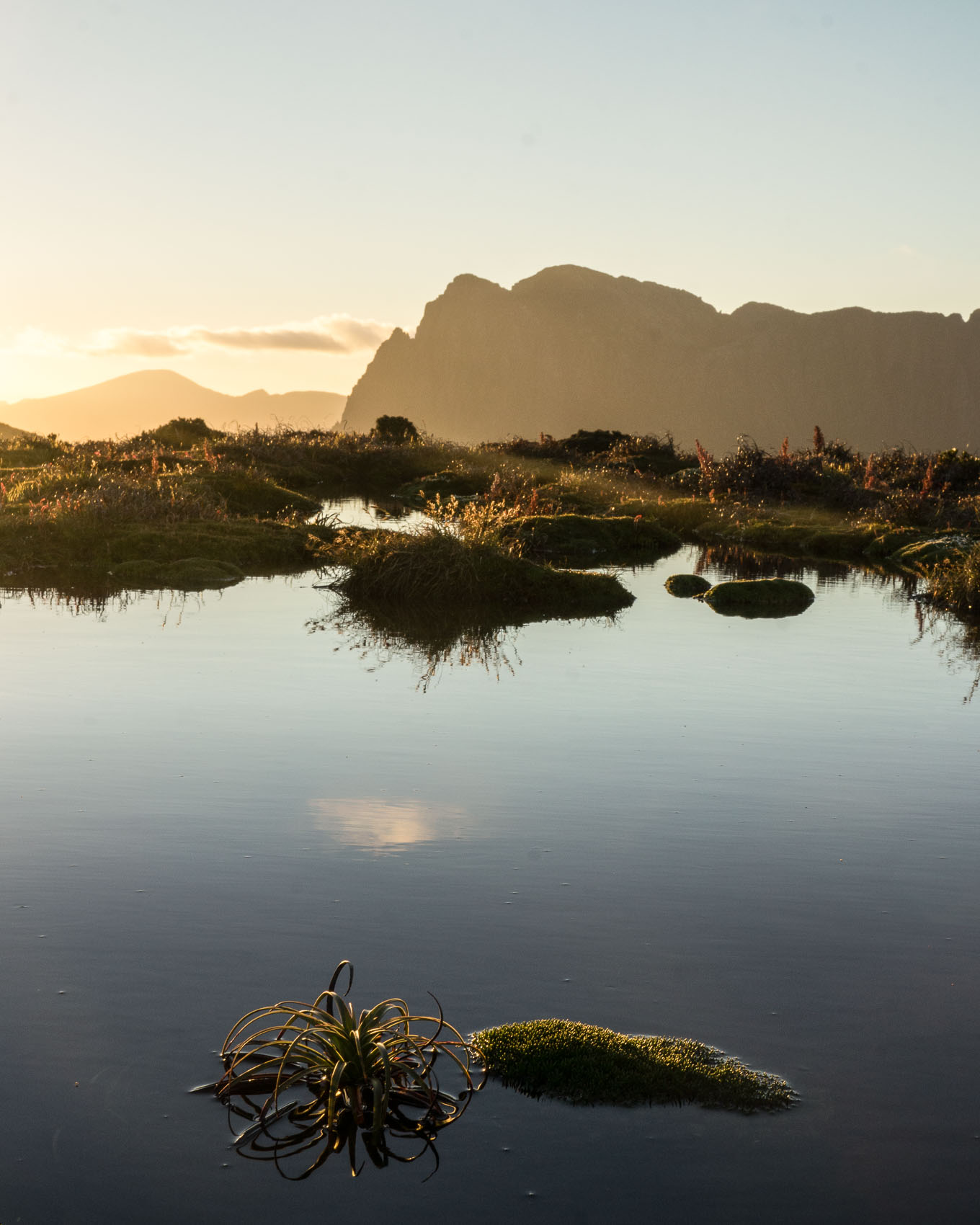 Alpine Tarn