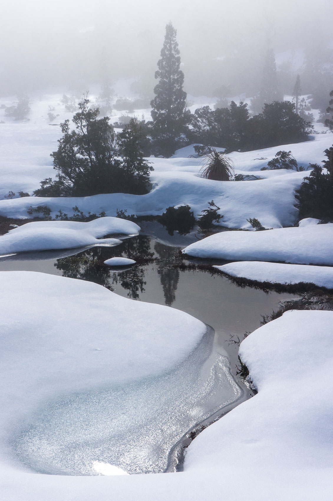 Snow Scene