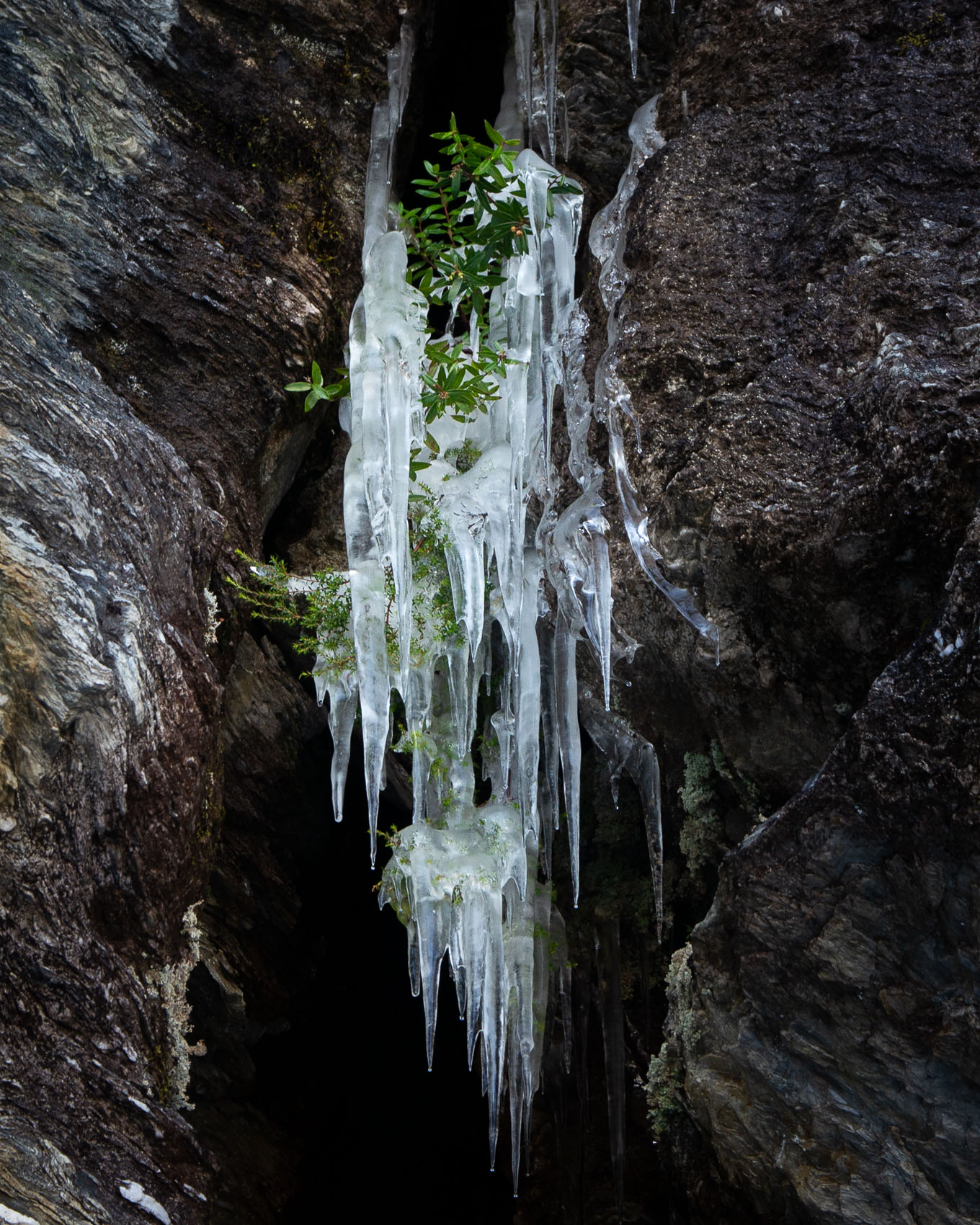 Winter Hangs On