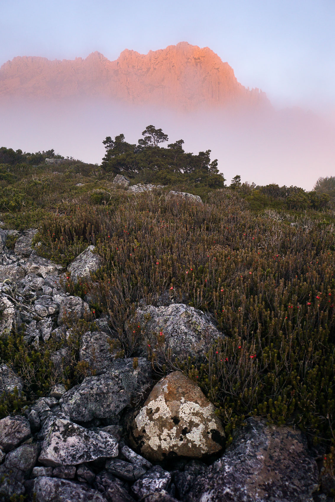 Glowing Dolerite
