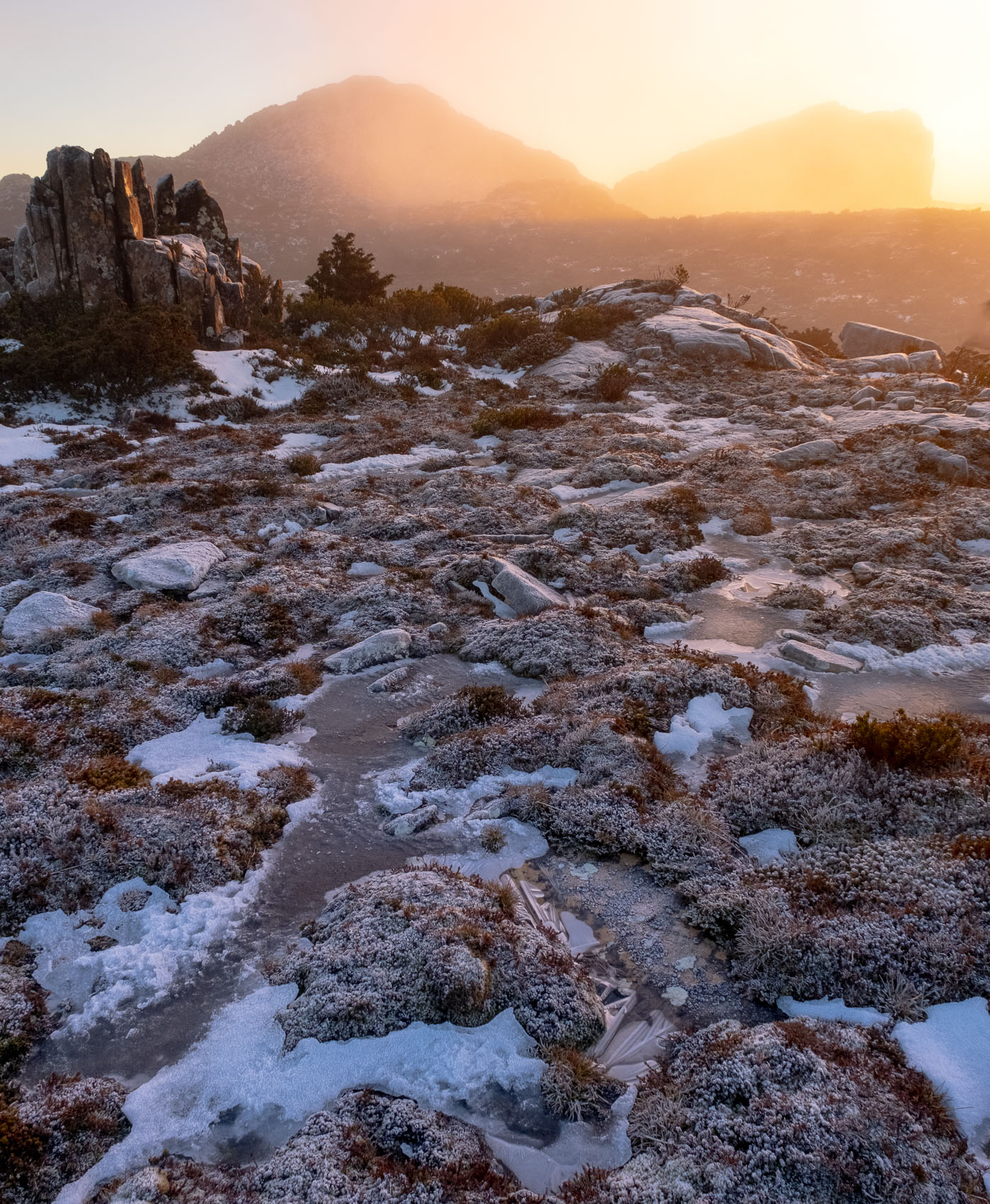 Crisp Morning Light