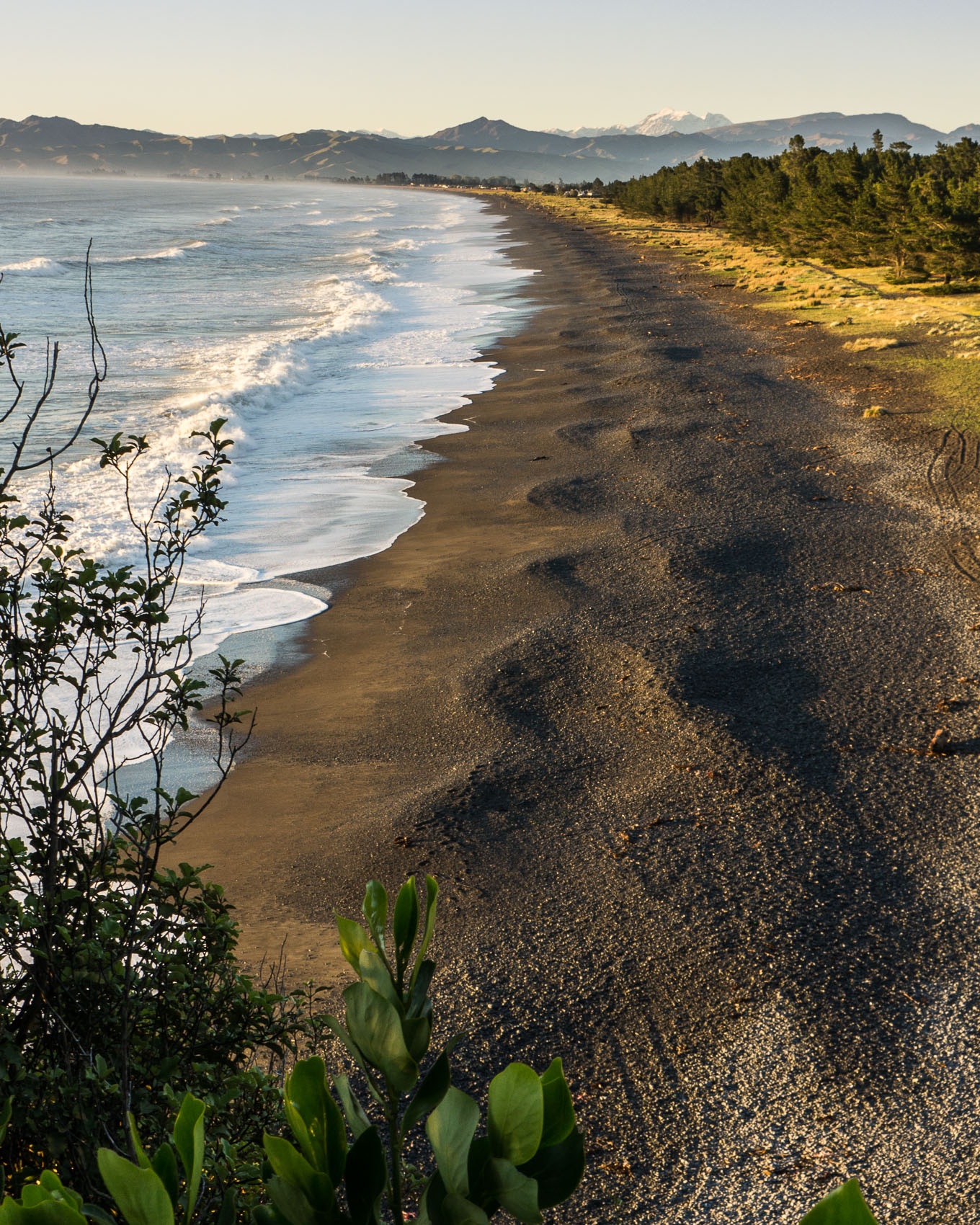 Pacific Coast, Marlborough NZ