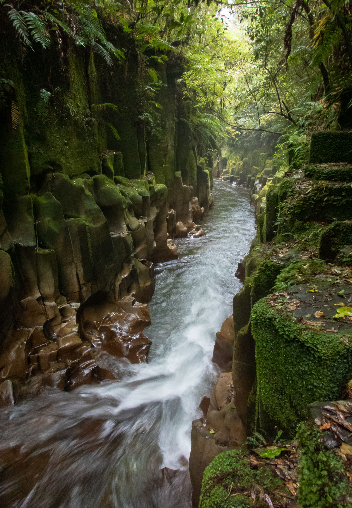 Te Whaiti-Nui-a-Toi Canyon