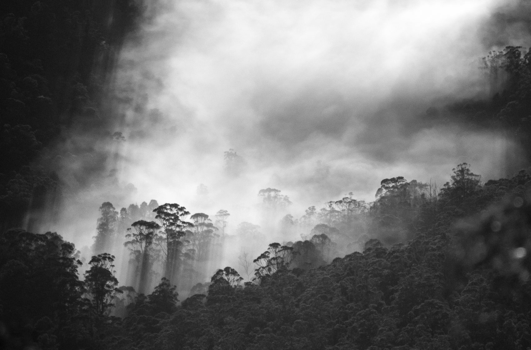 Valley Mist