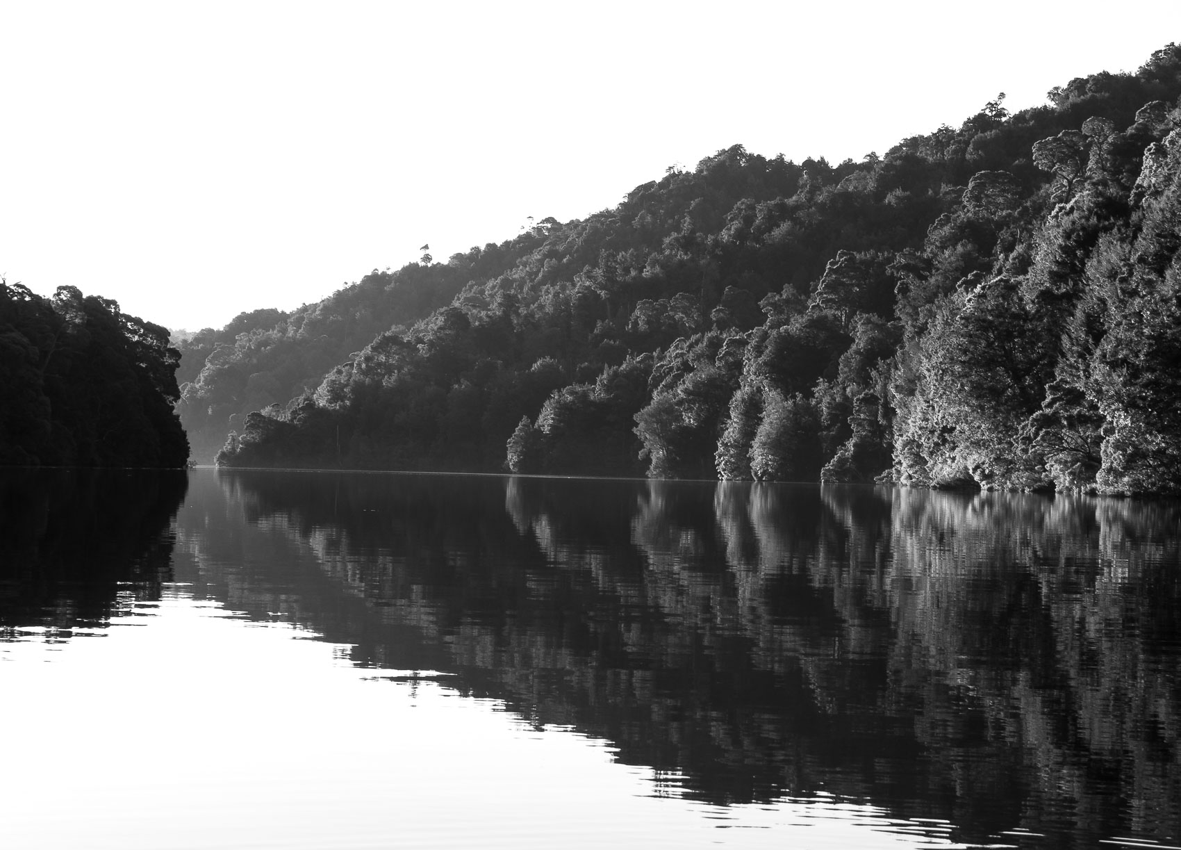 corrina Reflections