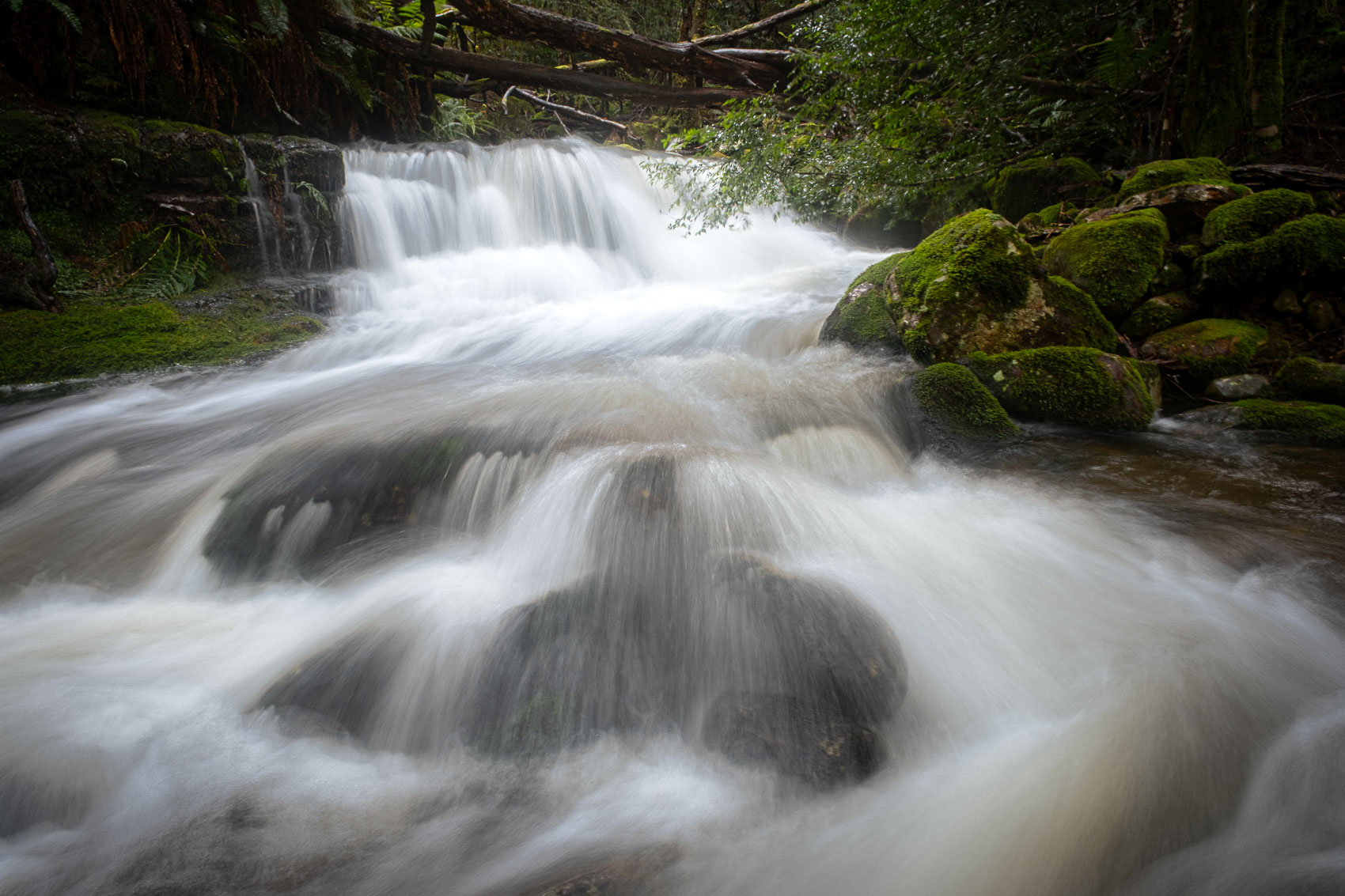 Calendar Falls