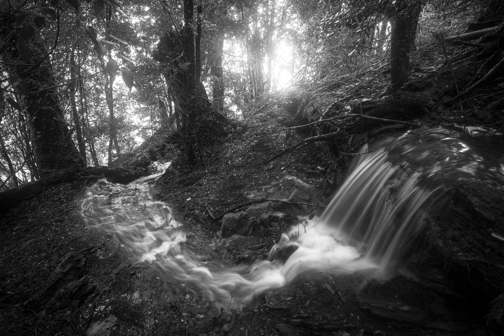 After the Rain