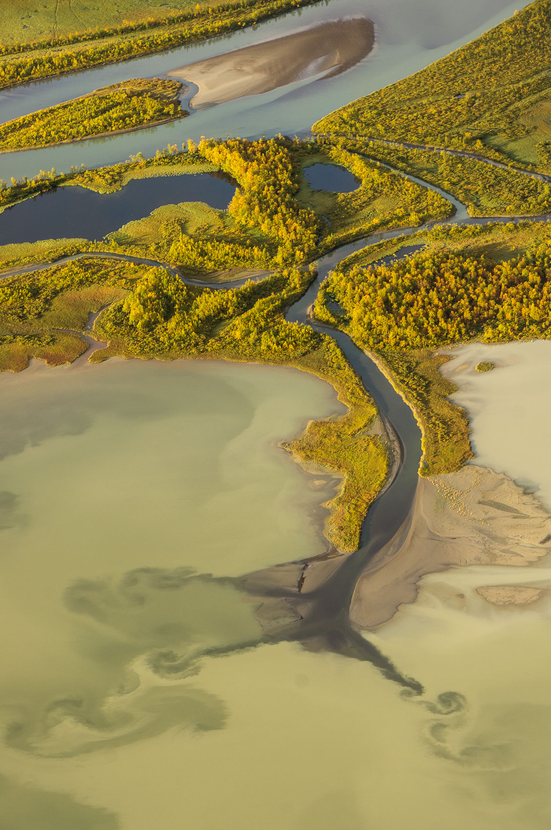 Autumn Swirls