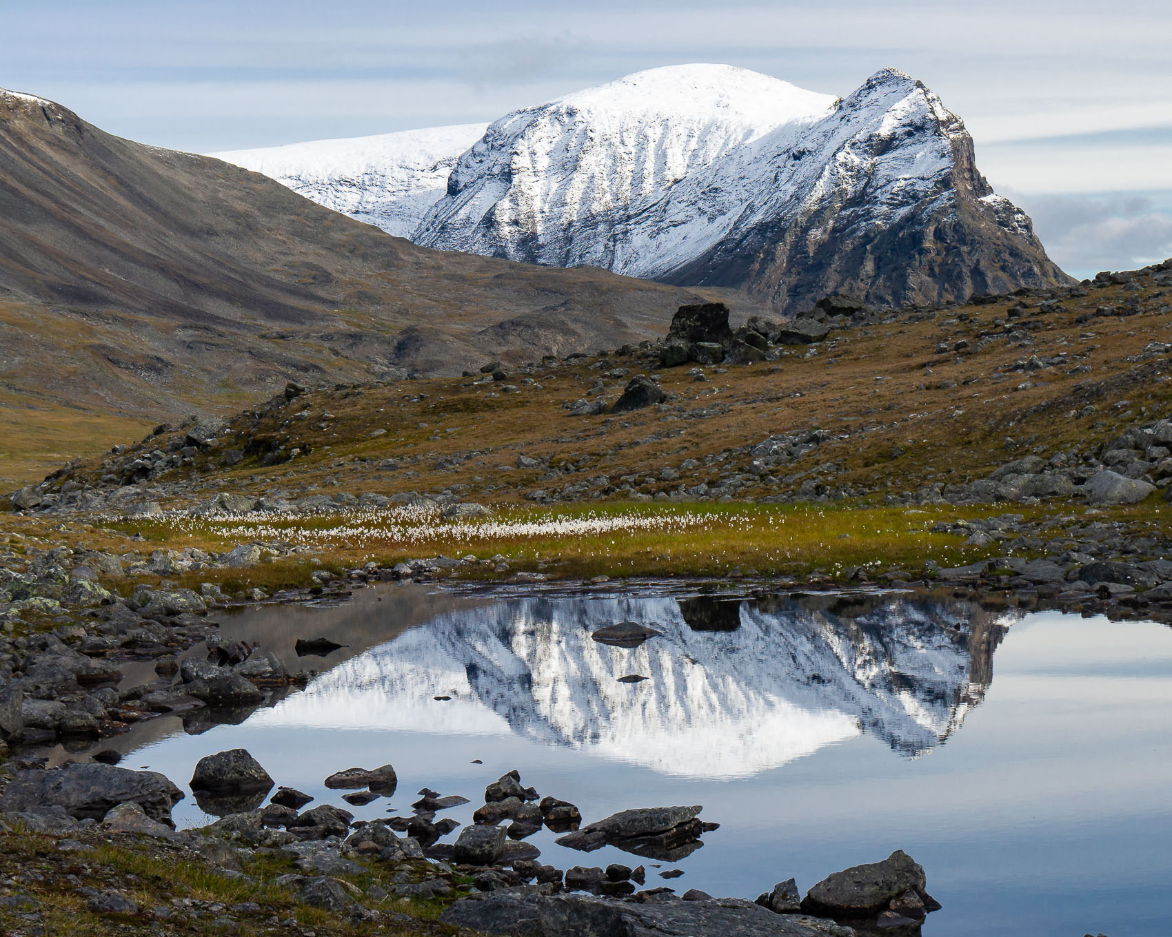 Snowy reflections