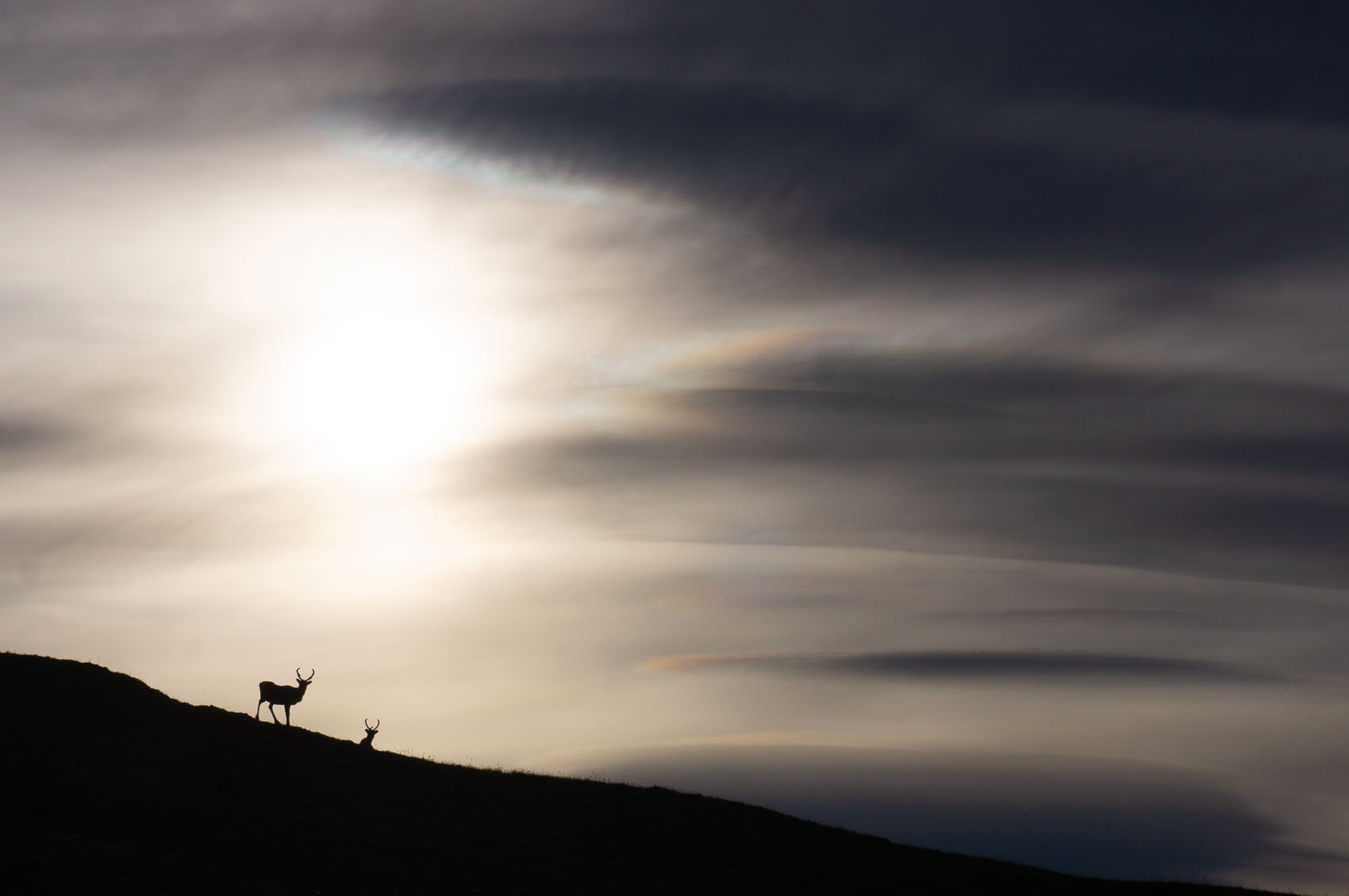 Home of the reindeer