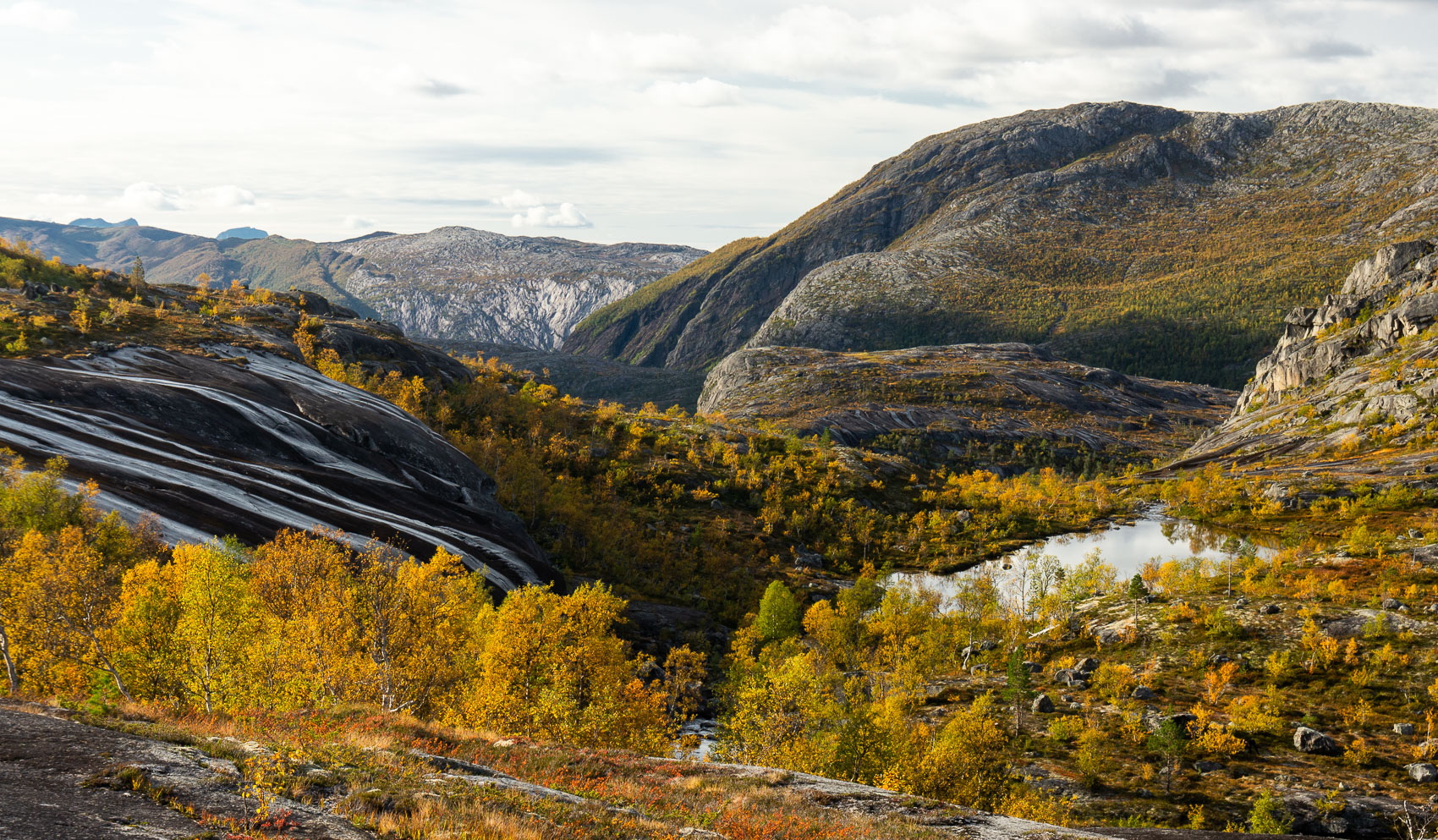 Rago Autumn