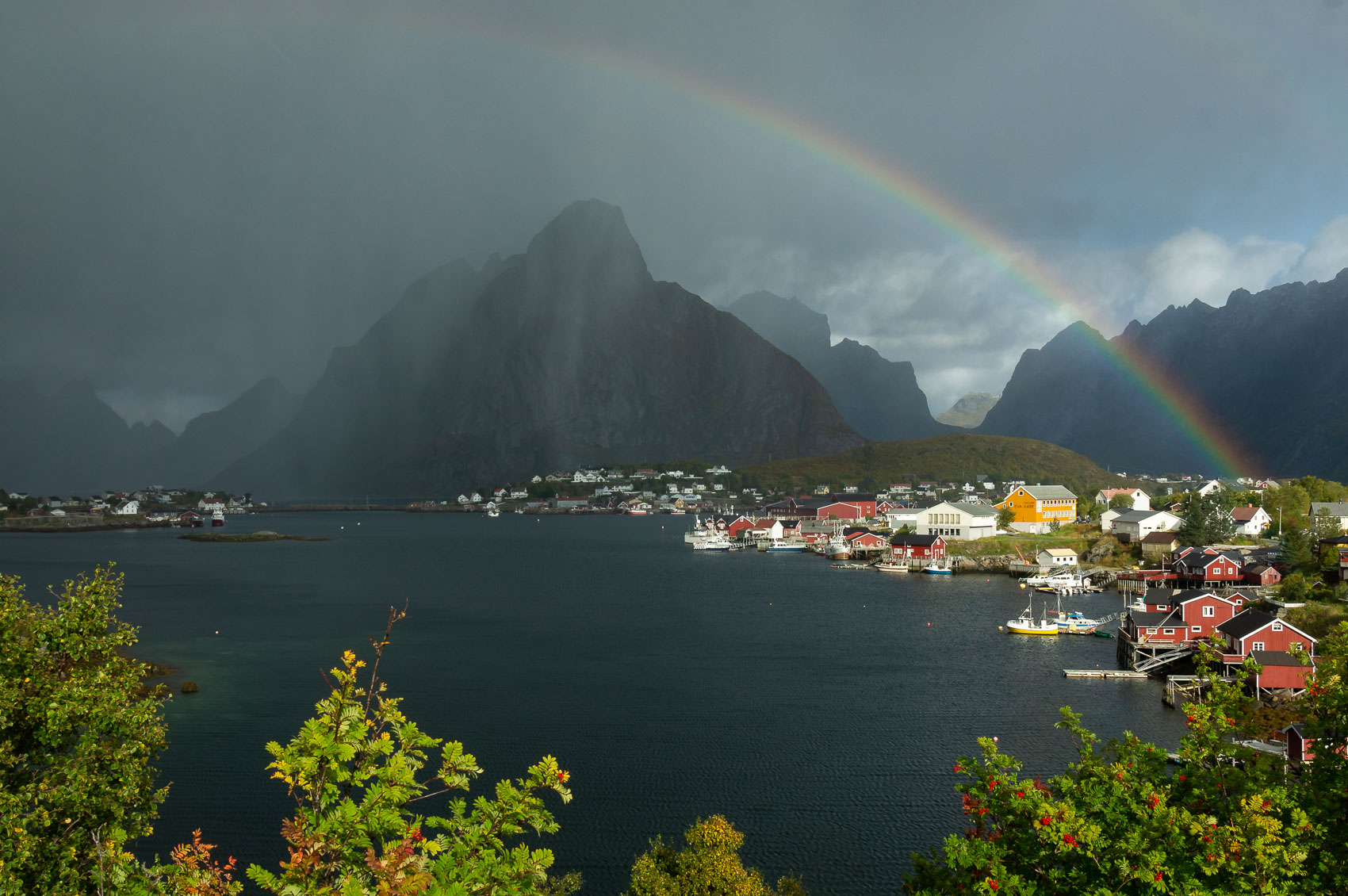 Reine-bow