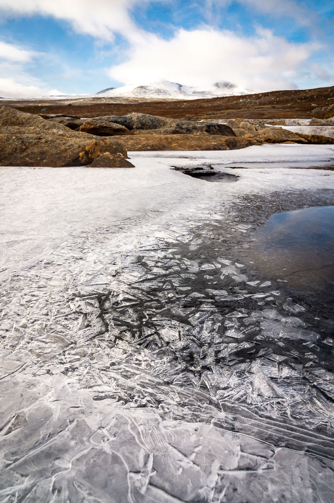 Ice details